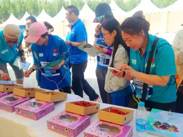 北京已开园的樱桃园,2024樱桃园开放时间