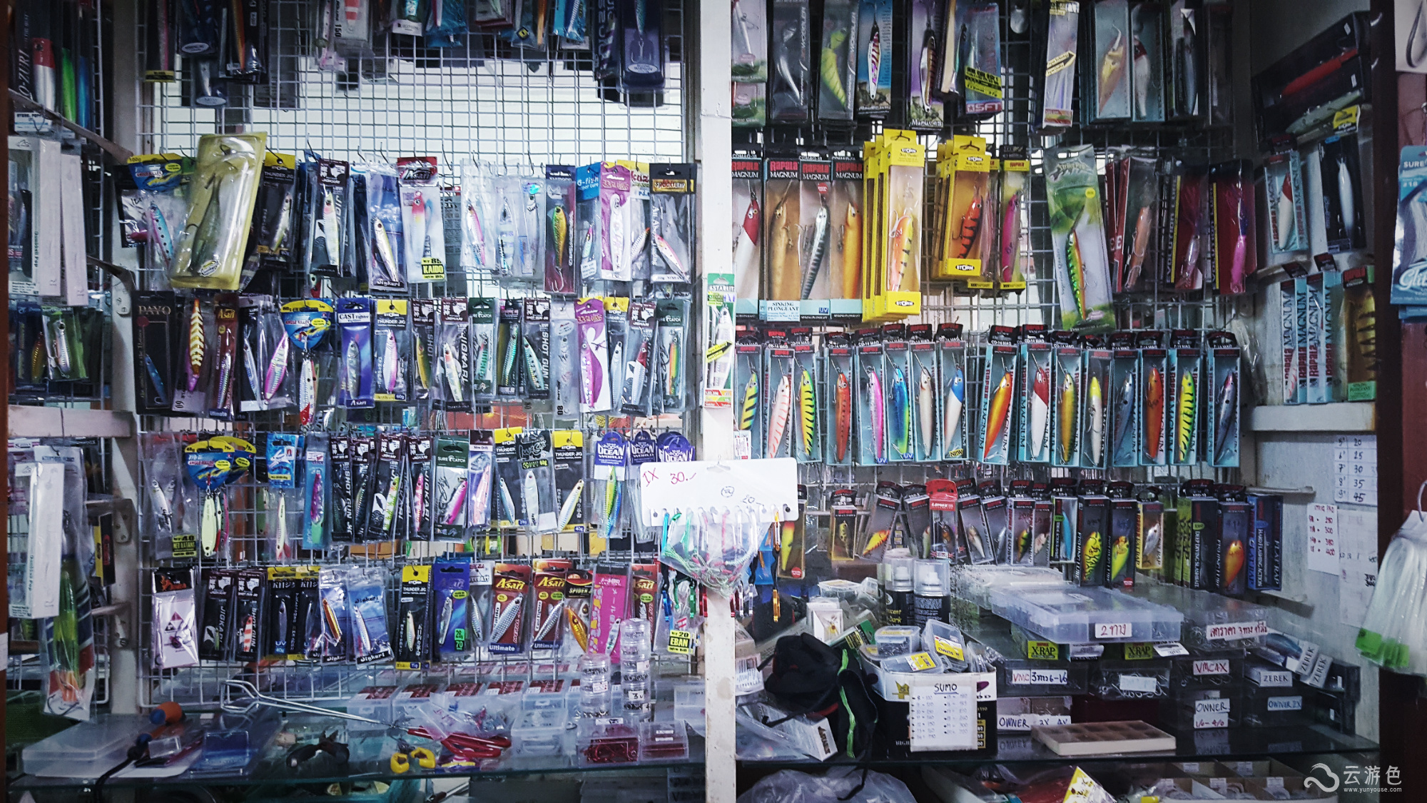 云游精选｜老炮儿带你见识泰国“老官园儿”