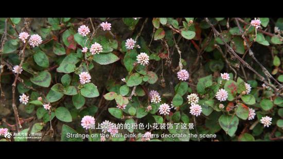 驶向春天歌曲原唱,奥迪a5敞篷版国内上市