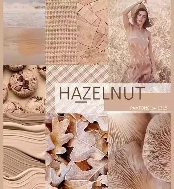 榛果深棕发色,臻果褐