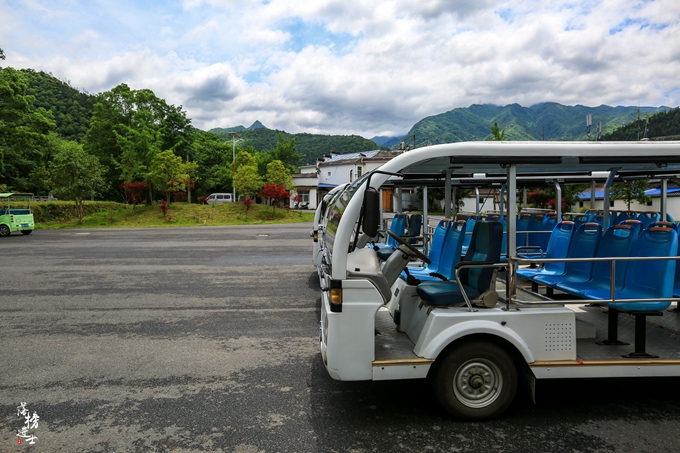 哪儿有原始森林拍照的景区,冬天适合拍照的原始森林