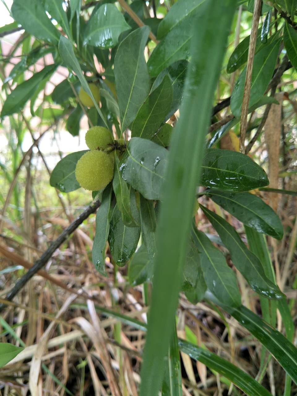 一路山水一路歌完整版,一路山水一路歌歌词
