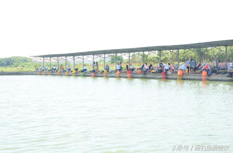 客友员工全体犯“最”，你怕了吗？