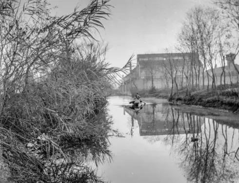 杭州为什么可以大规模拍地,杭州大规模拍地
