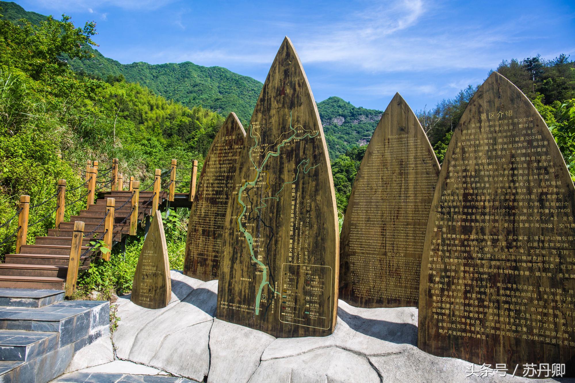 在水下洞穴探险,森林海自由潜水