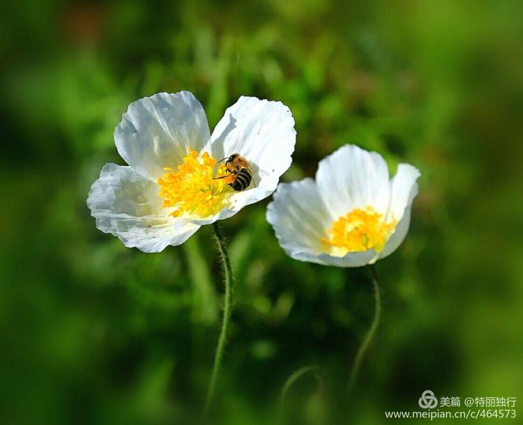 走过四季夏天最美,走过春夏美丽的秋冬