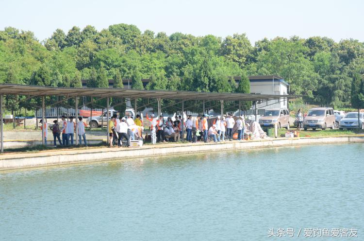 客友员工全体犯“最”，你怕了吗？