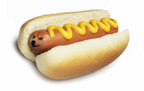 你遭遇了一只doge!精污《神烦狗》出VR游戏