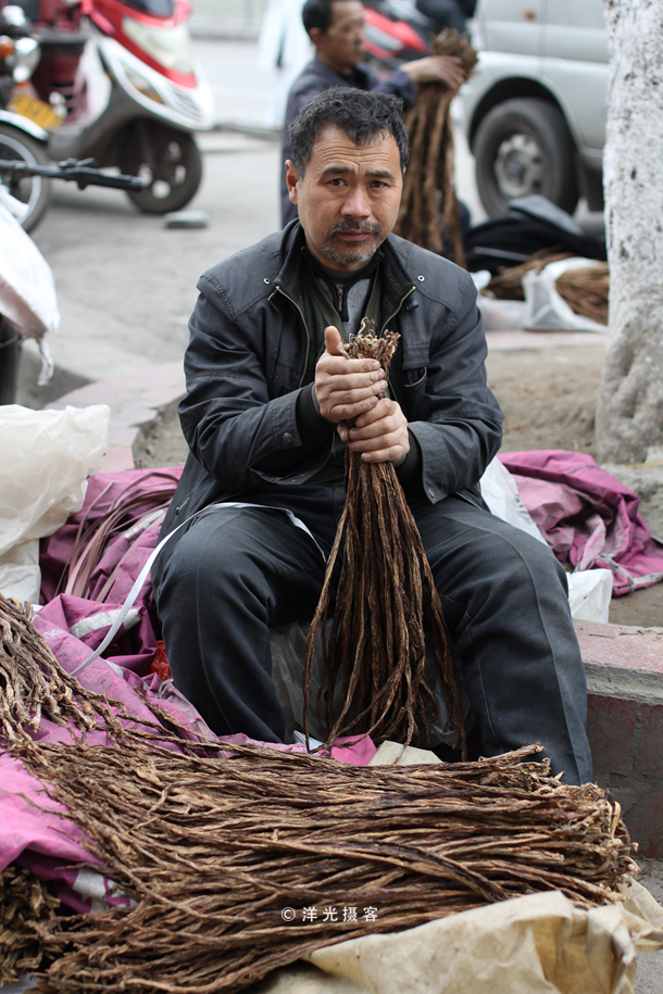 劲大焦油量低的烟,劲大的雪茄