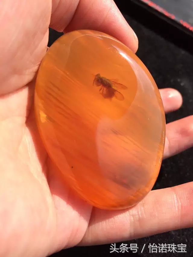 你真的了解缅北吗,缅甸琥珀里什么珀最好