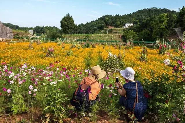 天圆地方!即日起,金堂不再是金堂,这个“新名字”惊艳全世界!
