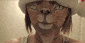 功夫猫搞笑动态图片,搞笑蓝猫gif动图