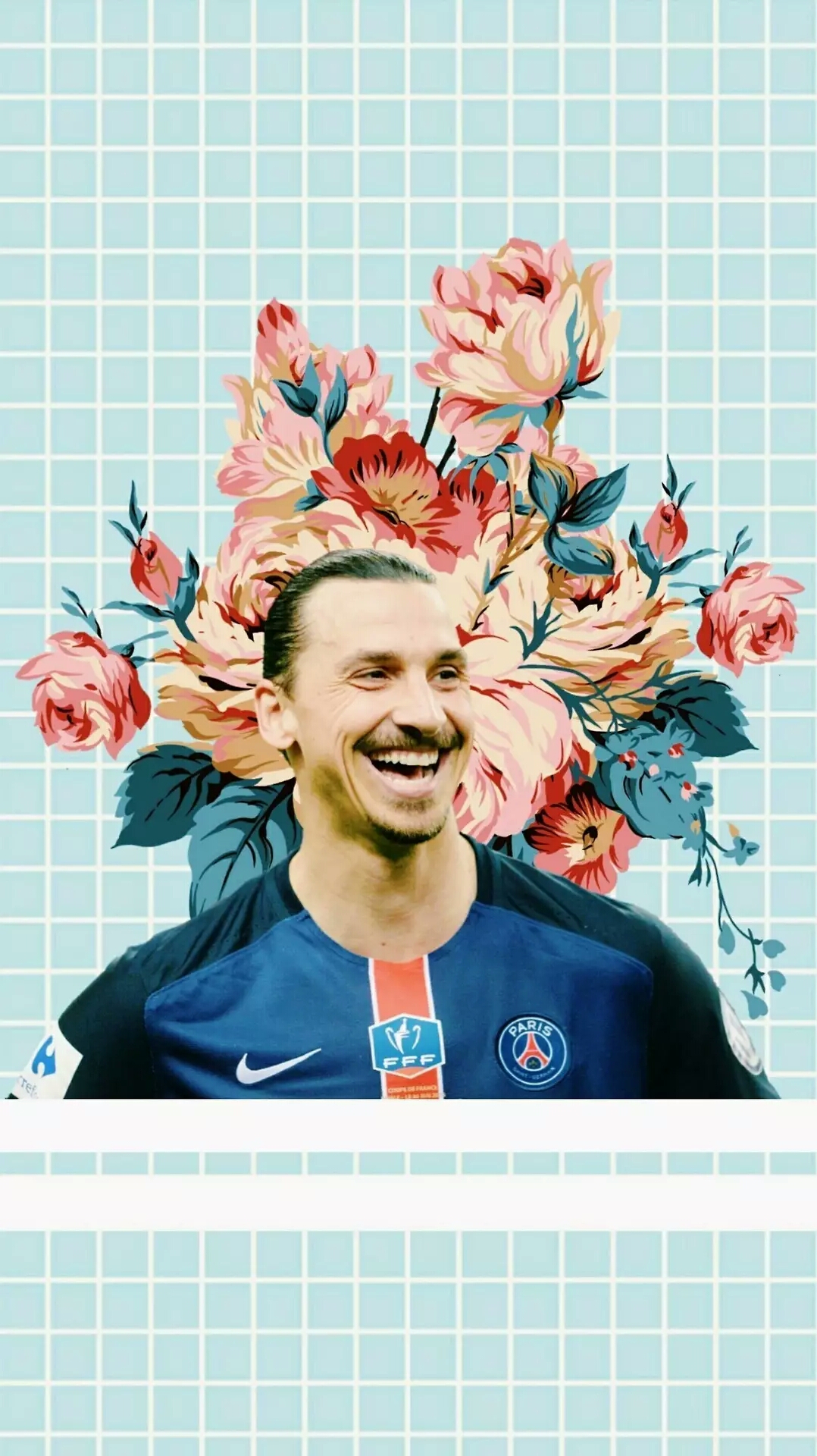 伊布经典壁纸,足球球星壁纸伊布