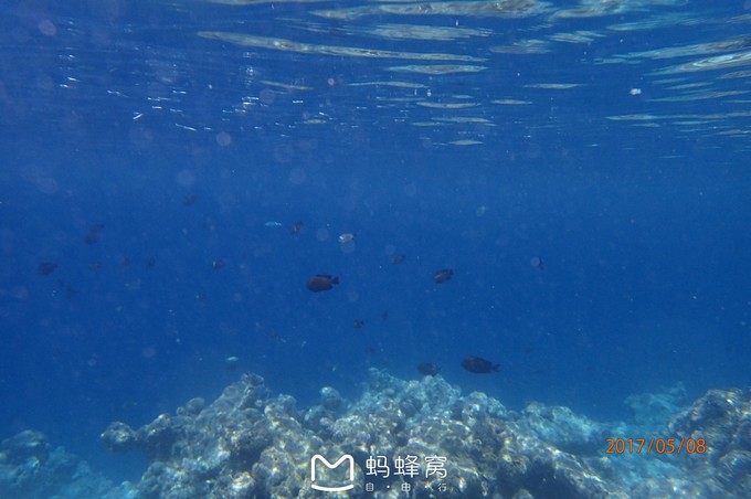 蜜月胜地之马尔代夫,马尔代夫水下餐厅芙拉瓦丽