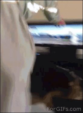 从小养一只狗狗是什么体验,养一只狗狗狗会觉得孤单吗