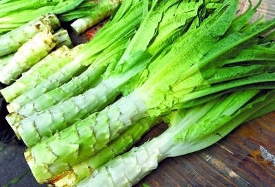 养肝降血压吃什么菜,降血压最快的4种野菜