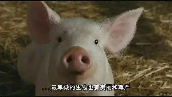 原来SUQQU、RMK、TWANY、KATE都是嘉娜宝旗下的