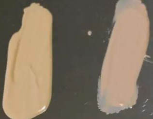 lauramercier无瑕光泽粉底色号,任何肤质都适合的粉霜