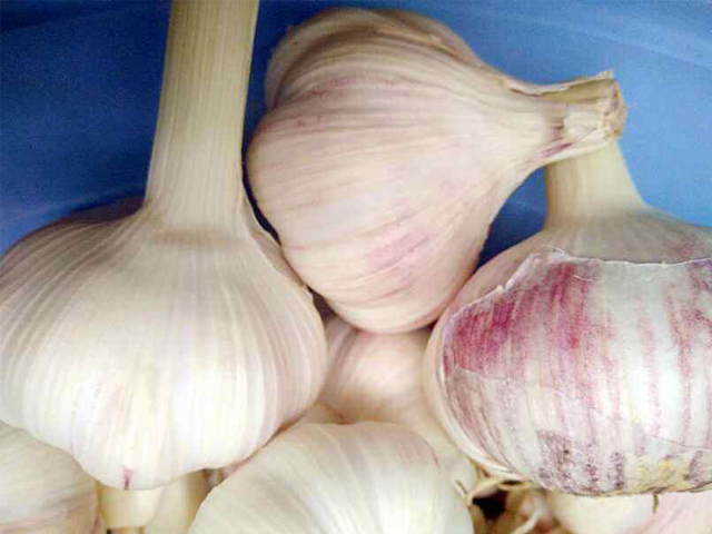 腌甜蒜用味极鲜吗,酸甜爽脆一口下去嘎嘣脆的腌糖蒜