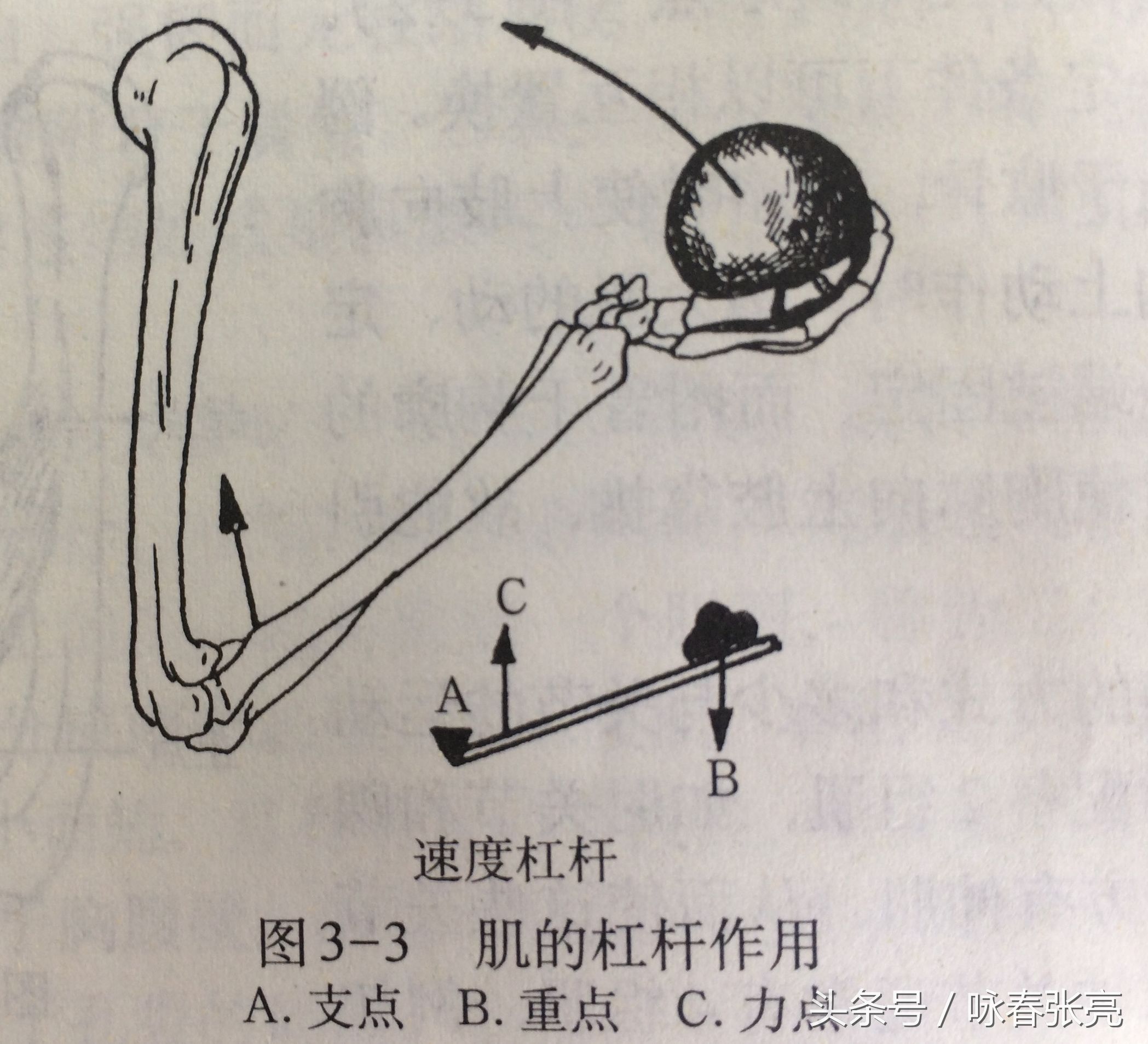 如何修炼咏春拳内劲,咏春拳的杀伤力在哪