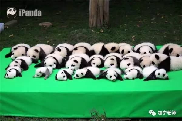 扎Zn了!10大累成狗的专业盘点