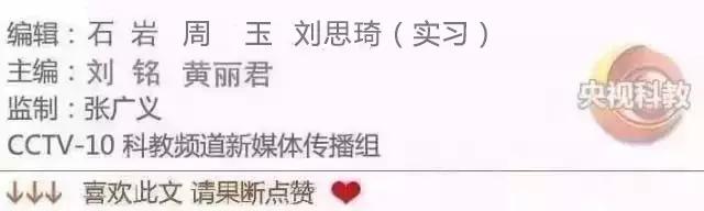 自然传奇北极狐,自然传奇北极企鹅