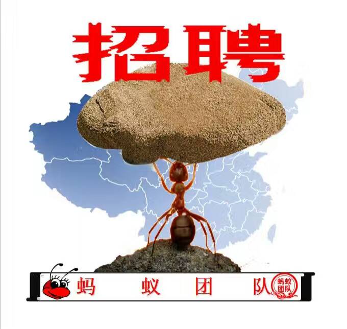 农村淘宝的生存现状 (农村淘宝生存现状调查)