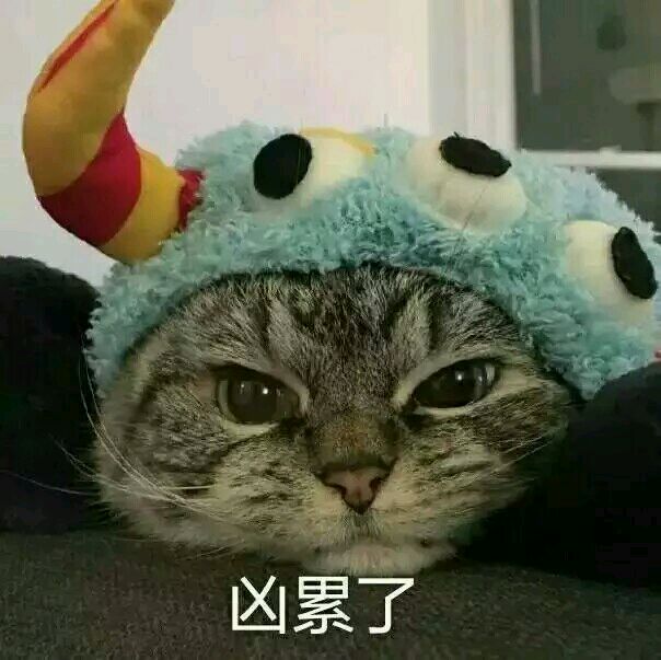 超小,巨小,无与伦比小的表情包,速来查收!