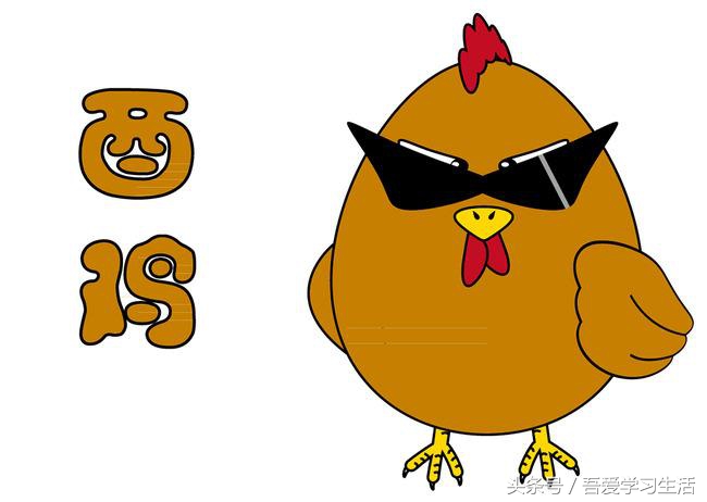 十二生肖婚配表大全最新版,十二生肖婚配口诀大全太准了收藏