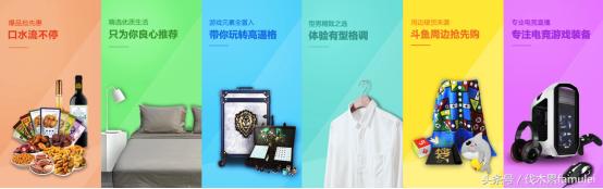 斗鱼电商平台,斗鱼电商