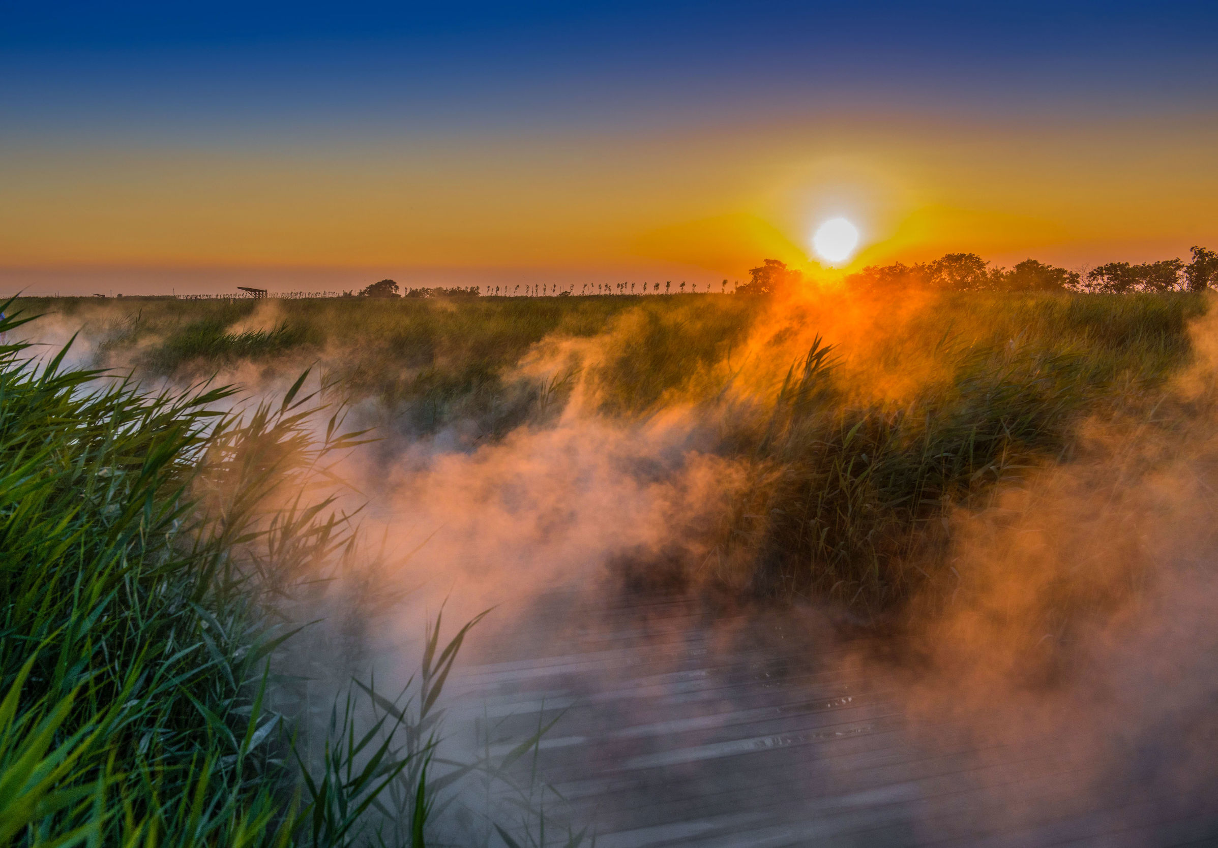 曹妃甸曹妃事件,曹妃甸区曹妃