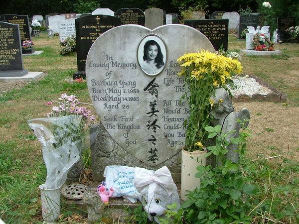 每日花语曼陀罗花,每日花语樱草图片