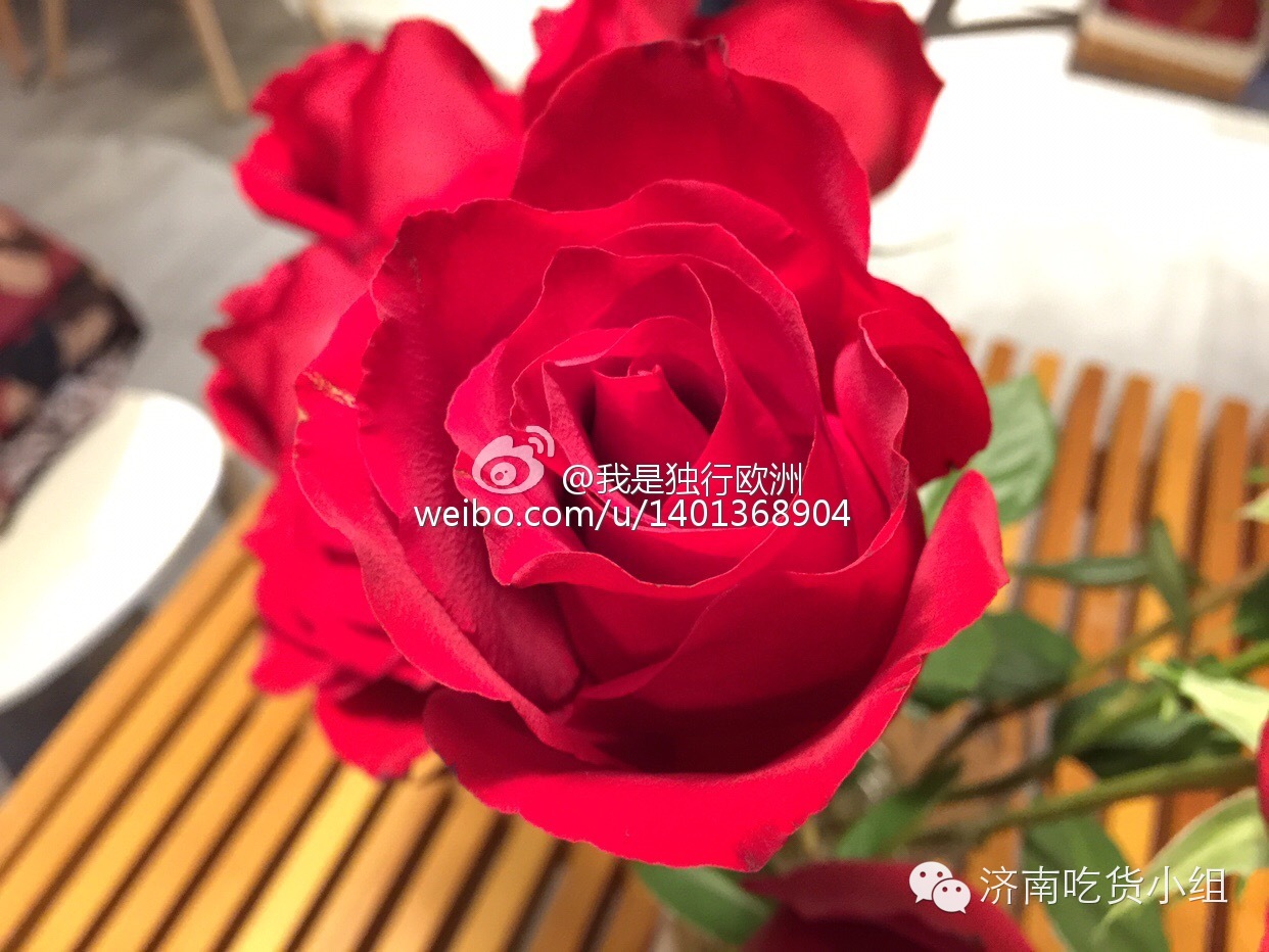 在济南，我想和你“一起”喝咖啡O,∩_∩O~~