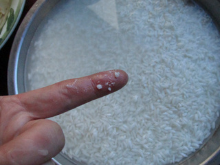 红曲米样品,红曲米价钱