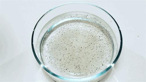 化学超帅又简单的实验,最牛化学实验