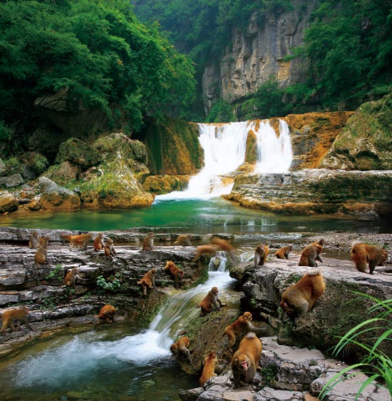 山西蟒河一游,蟒河好风光