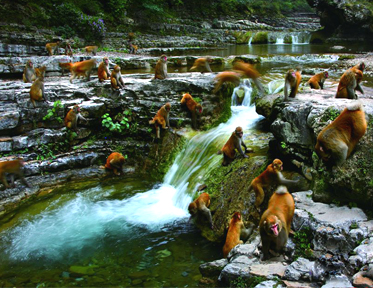 山西蟒河一游,蟒河好风光