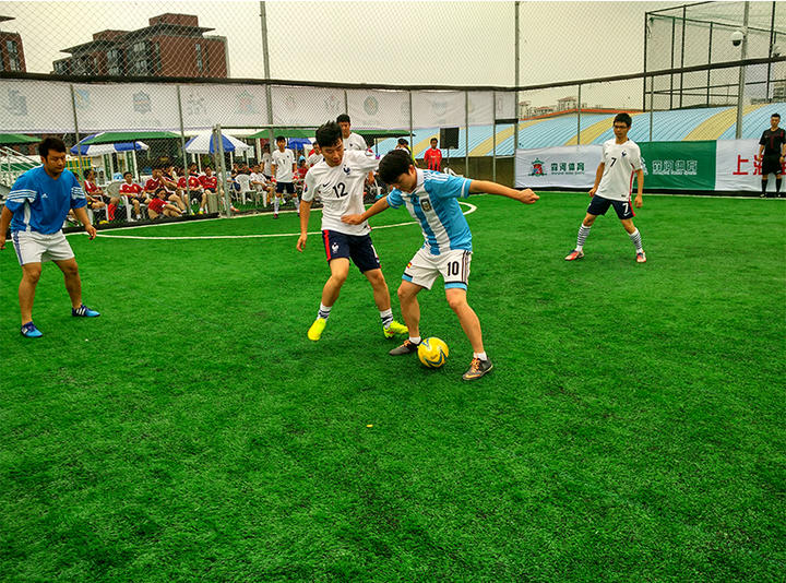 上海哪里有足球场草坪,上海足球场草坪哪家好