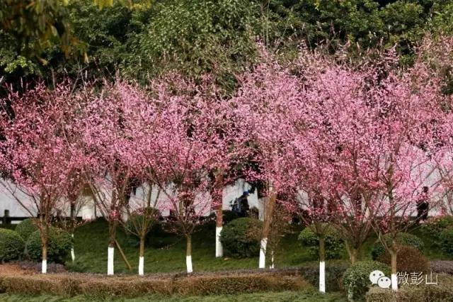 澶у江灞辩殑缇庢櫙,褰北鏄ュ鏃呮父