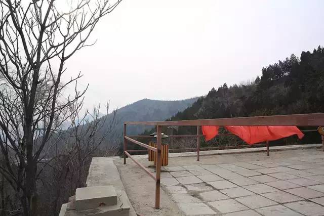 为什么拍出来的照片细节不清新,拍的照片不清楚怎么弄清楚