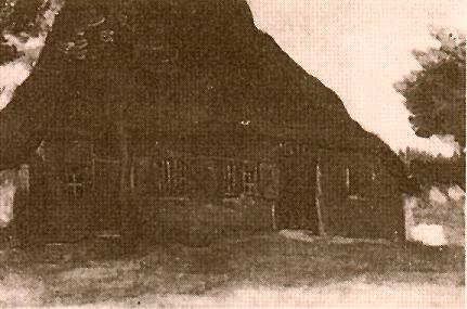 纽约大都会博物馆梵高向日葵油画,梵高非凡人生油画作品