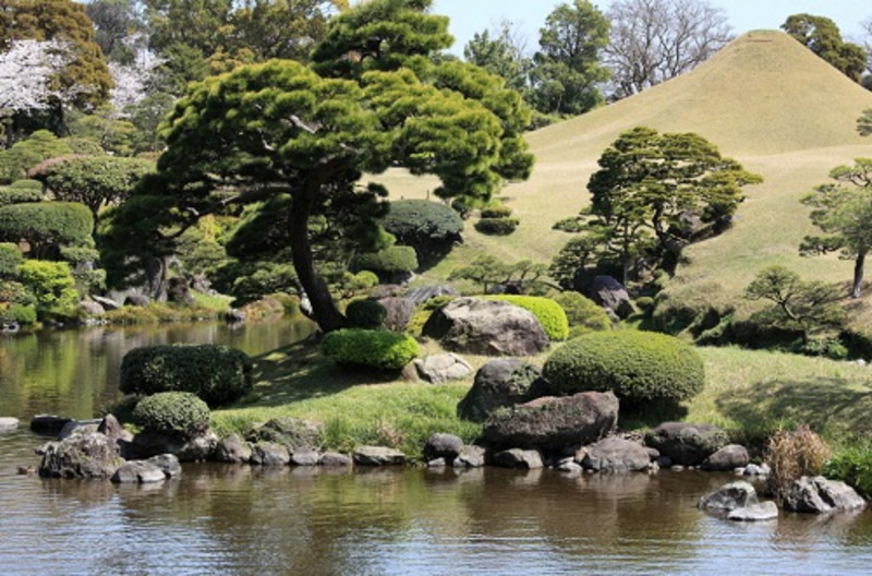 熊本熊77期,熊本熊布朗熊带你去旅行