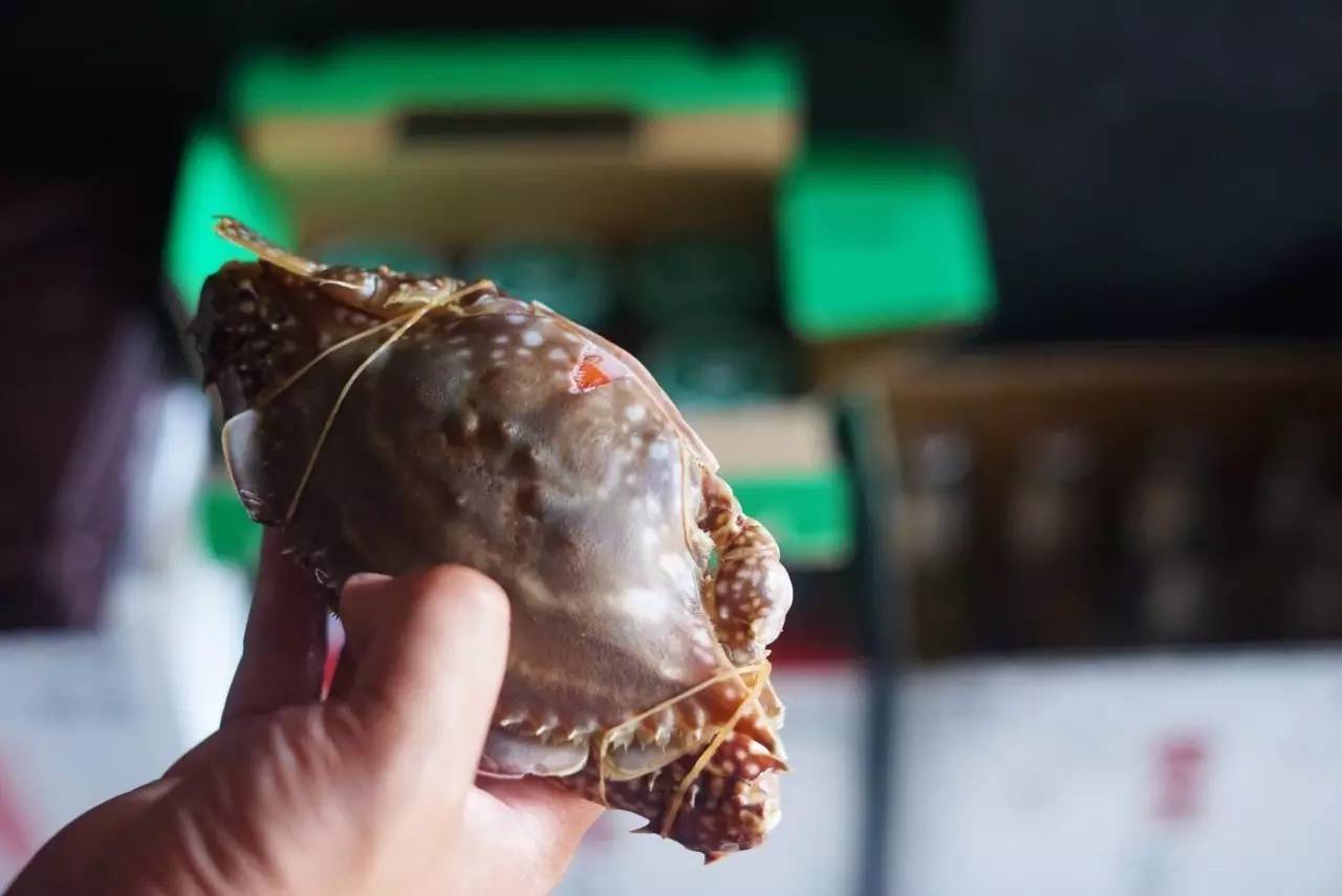 6张桌子,2个包厢,城南这家连导航都搜不到的私房小馆子,却藏着《食神》级别的蛋炒饭……