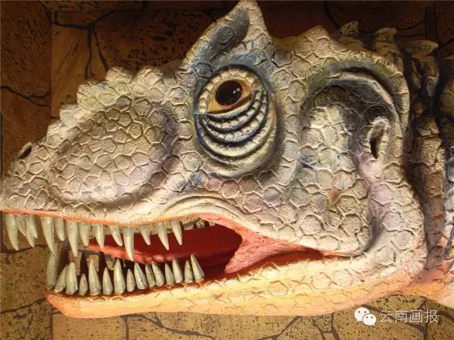 云南最值得去的地方排行榜第一名,云南哪些方面世界第一