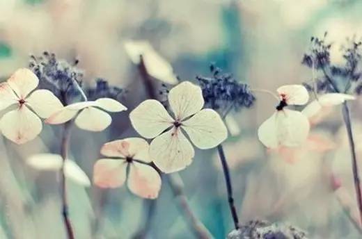 考研的门槛条件有哪些,考研僧的报考条件