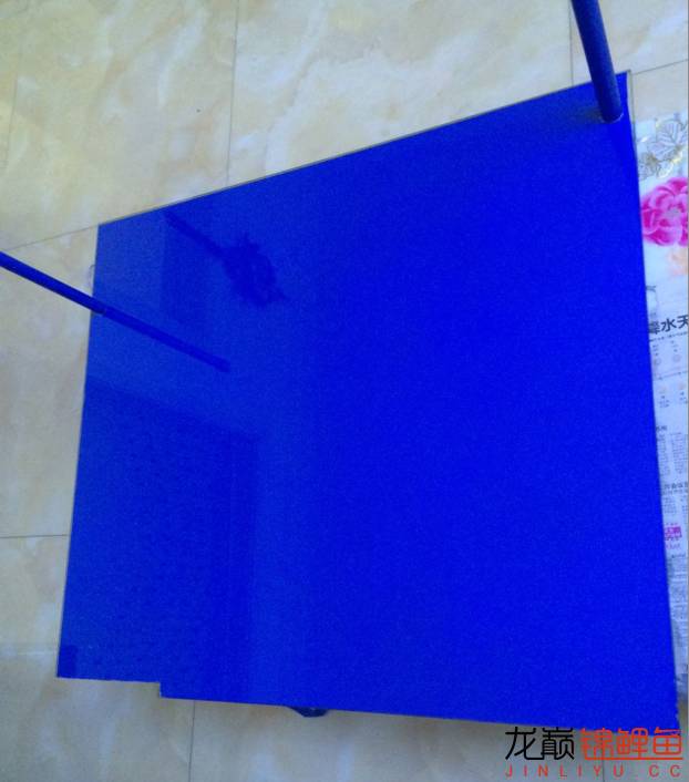 地缸推荐,家里可以搞个多大的地缸