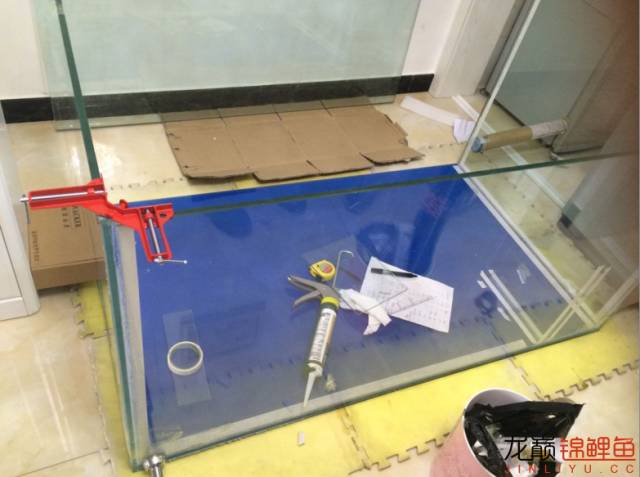 地缸推荐,家里可以搞个多大的地缸