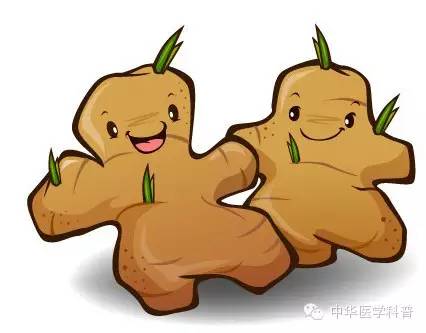 饮食与健康的方法,饮食养生与健康饮食