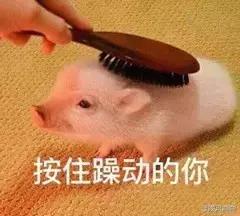 原来SUQQU、RMK、TWANY、KATE都是嘉娜宝旗下的