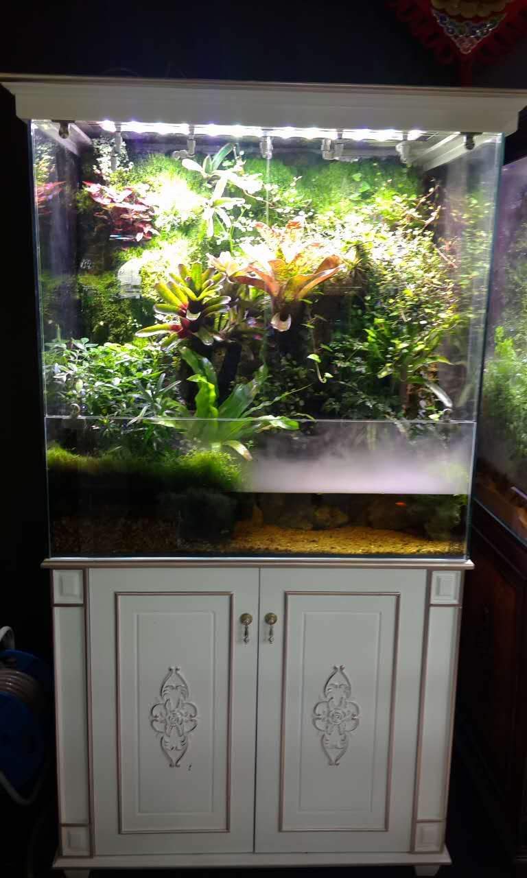 水族店转型,水族生意经营模式